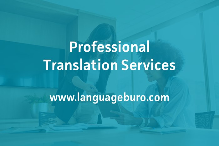 Professional Translation Services